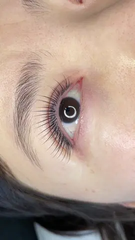 Mi Toả Lông Thật . Thật tự hào khi mình là người đầu tiên sáng lập lên kiểu nối Kim Toả 1 nhíp này , thấy phủ sóng toàn Tiktok là kim toả . 🥰🥰#noiminguyetbe #ước_lên_xu_hướng #ướcđượclênxuhướng 