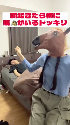 【朝起きたら横に馬がいるドッキリ】兄に仕掛けて見た🐴 #桐崎妹#きりざきまい#桐崎栄二#桐崎兄妹#ドッキリ#おすすめ 