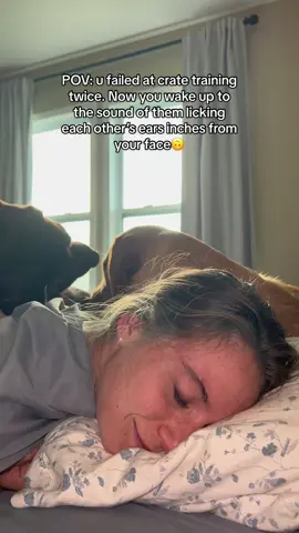 I hate. HATE. That sound. But i love them🤭 #billiethelab #gusthelab #fyp #billieandgus #dog #dogsoftiktok #labrador #dogowner #puppytiktok #labradorretrieverpuppy #dogsoftiktokviral #dogsoftiktoks #cutedog #puppy #puppylove #funnydog #puppylover 