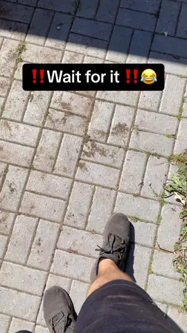 #hundevideos #hunde #foryou #doberman #dog #dogs #dogsoftiktok @ProDogwash 