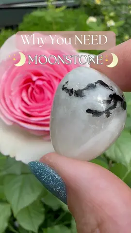 JUNE BIRTHSTONE: MOONSTONE🌙 #crystals #crystal #crystaltok #moonstone #spirituality #spiritualtiktok #fullmoon 