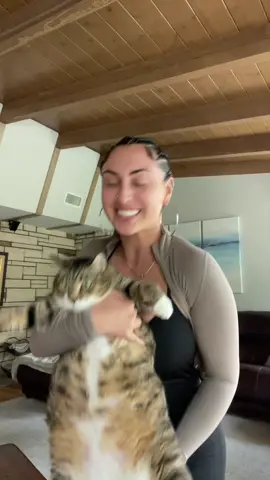I love her🤣😭 #fatcat #bigcat 