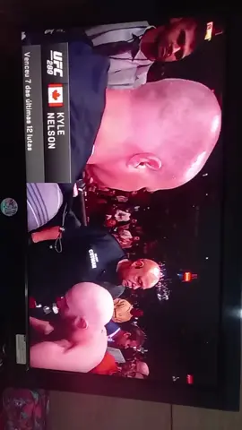 UFC AO VIVO