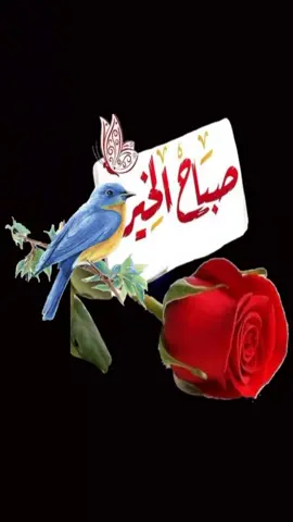 صباحكم احلا صباح  يسعد صباحك #سوريا_تركيا_العراق_السعودية_الكويت 