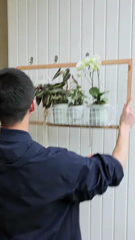 Thú vui mỗi sáng cuối tuần 🍃🍂🍁 #tuithichdecor #decor #sandodecorgiare #homedecor #medecor #nghiendecor #nghiennha #decorbancong #trongcaytainha #tronghoa #hoalaco #khungluoitreotuong #khungluoigo #khunggotreocay #fyp #xuhuong 