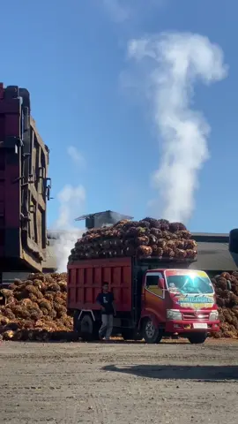Juragan muda wak leman 🤙🏻#lewaberanda #fypシ #boosmuda #sawit #sawitontiktok #fyp #sawitsumatraindonesia🌴🌴🌴 #viralvideo #fypシ゚viral #viraltiktok #mukomuko_bengkulu_indonesia 