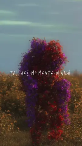 ¿que fue lo que cambió? @Humbe #humbe #esenciabyhumbe #esencia #teloprometohumbe #teloprometobyhumbe #teloprometo #parativiral #foryoupage #fyppppppppppppppppppppppp 