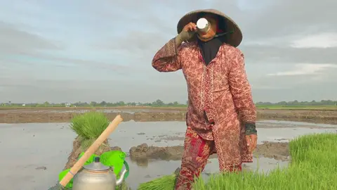 Bagian 2 | #capcut | Sedikit Estetik | #fyp #foryou #foryoupage #cinematic #cinematics #aesthetic #sawah #brebes #brebesviral 