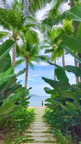 Một nơi mới tinh chill thật chill giữa trung tâm Nha Trang. #nhatrang #bomaresort 