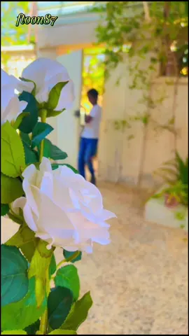 #الف مبروك نجاحك صويلح 