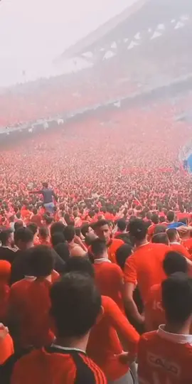 بالدم بالروح افريقيا مش هتروح ❤️🦅 #foryou #alahly #الأهلي #التراس_اهلاوي #ultras_ahlawy #ua07 #mo_samir_ua #hkoma_ud @UA2➿7 @🔥🔱اولتراس ديفلز 🔱🔥 