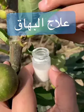 #علاج_طبيعي #علاج_البهاق #علاج_البهاق_بمواد_طبيعة #علاج_فيزيائي #تبيض #تبيض_الجسم #تبيض_الوجه #fyp #comedia #fyp #fypage #fypagee #greenscreen #goviral #quotes #qatar #meme #music #roblox #bts #keşfet #kpop #kdrama #wow #workout #edit #viraltiktok #xyzbca #صباح_الخير #ضحك #حب #وصفات #طبخ #ثروباك #فولو #عمان عجينة السكر الكورية 🍭🍧#مقشر_الجسم #ازالة_التجاعيد #ازالة_الشعر #مقشر_للبشرة #مقشرات_طبيعيه #مقشر_شفايف #مقشر_الكوري #تصبغات_الوجه #تفتيح_البشرة #fyp #fouryou #birthday #congratulations #contenido #comedia #افلام #نتفلكس #مسلسلات #مسلسلات_تركية #مسلسلات_كورية #كوريا #bts #korean #ازالة_التصبغات #ازالة_التصبغات_العميقة_والكلف #الخلطة_الثلاثية #الخلطة_الرهيبة_لتبيض_البشرة #الخلطة_السحرية #الخلطة_العجيبة #الخلطة_ثلاثية #جنة_خداده #طلال_المحيسن #تبيض_الجسم #تبيض #تفتيح_البشرة #تفتيح #تفتيح_الركب_الاكواع #تفتيح_المناطق_الداكنة #تفتيح_الجسم #تبيض_وتفتيح_تحت_الابط #تبيض_اليدين_والرجلين #تبيض_فوري #اثار_حب_شباب #حب_الشباب #مشاكل_الشعر #مشاكل #البشرة_الدهنية #البشرة_الجافة #البشرة_الزجاجية #البشرة_المختلطه #عنايه #عناية_بالبشرة #عناية_بالجسم #skincare #skincareroutine #care #funny #fouryou #foryoupage #fy #fypシ #fypage #TikTokPromote #مقشر #اكسبلور #حركة_ترند #حركة_إكسبلور #اكسبلورexplore #اكسبلور_تيك_توك #trending #trend #girls #girl #في #في_بيتنا_عزيمة #2023 #حفل_تخرج #تخرجي #خريجات_2023 #جامعة #TikTokPromote #tiktok #tik_tok #عيادات_تجميل #اثار #مشاكل_وحلول #مشاكل_الشعر #ماسكات_طبيعية #كريمات_تفتيح_البشرة_والجسم #كريمات_تبييض #fouryoupage #fypシ #fypシ゚viral #explore #edit #اكسبلور #اكسبلورر #اكسبلوررررر 