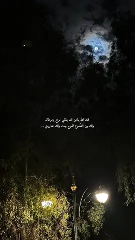 فمان الله يامن لك بقلبي مرتاع وموطان ❤️ #اكسبلور #foryou #fyp #explore #تصويري #صالح_ال_مانعه 