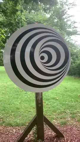 Mind-Bending Optical Illusion: Rotating Circles Defy Perception #OpticalIllusion  #MindBending  #VisualTrickery  #PerceptionChallenge  #3Dillusion  #MesmerizingPatterns  #IllusionMagic  #TrickYourEyes  #ExploringPerception  #MindBlown