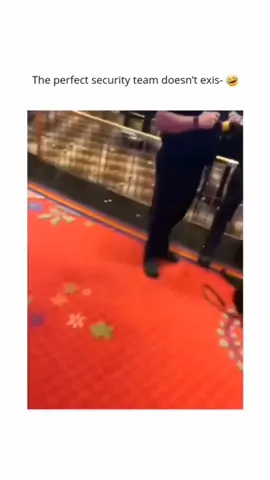 Cute & Dunny Dogs Comp 😊🐶  . . . #dog #dogsoftiktok #dogs 