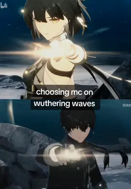 #wutheringwaves 