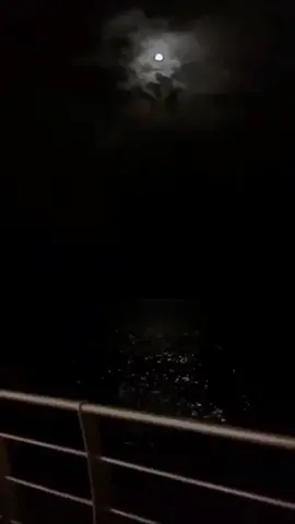 بتفقدني مع الايام ماهو الحين ! #سعد_علوش #اكسبلورexplo #قصيده #fur #هواجيس #شعروقصايد #شعر #حزين #بتفقدني_مع_الايام 