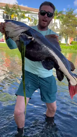 Still cant believe i got to reel this baby in 🥹 @Sauced Up Productions #Stackz954 #FloridasFavorite #ExoticExpress 