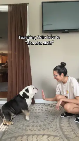 Bro loves to dance 😂🧿 #englishbulldog #bulldog #bulldogs #cute #cutedog #dogs #dog #doglover #dance #dancer #dancechallenge #funny #funnyvideos #dogsoftiktok #dogmom #explorepage #foryou #foryourpage #fyp #fypシ 