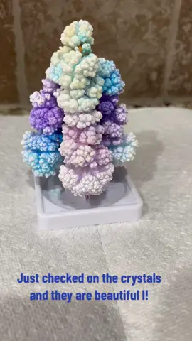 These are looking beautiful!!! #scienceexperiments #lifewithkids 