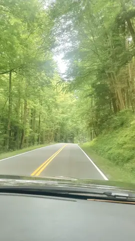 Lil Weekend Getaway to TN 🧡 #thesmokiemountains #gatlinburg #pigeonforge #tennessee #easttennessee #bears #Cabins 