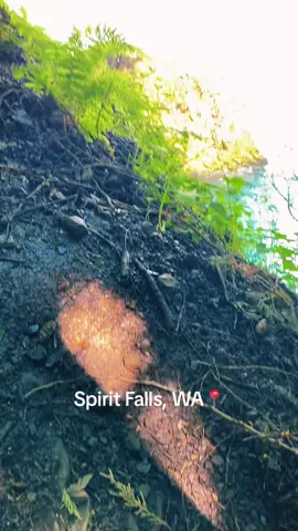 #pnw #pacificnorthwest #washington #waterfall #spiritfallswashington #pnwwaterfalls #Hiking 