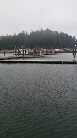 Enjoying Peaceful Moments of My Journey #enjoylifeverday #spreadlove #learningeveryday #loveyourself #myjourney #positiveenergy #beautifulviewoutside #lakesideoregon #crabbing 