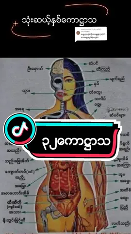 @user293686270 သို့ အကြောင်းပြန်နေသည် ၃၂ေကာ႒ာသ #2023 #thankb4youdo #foryoupage 