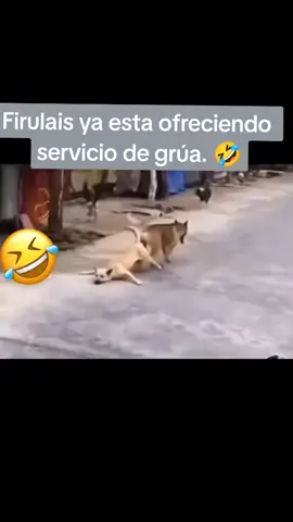 #fypシ ❤️ # video viral funny 