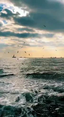 കടലിന്നഗാധമാം നീലിമയില്‍ കതിര്‍ ചിന്നും മുത്തുപോലെ പവിഴംപോലെ... കമനി നിന്‍ ഹൃദയത്തിന്നാഴത്തിലാരാരും അറിയാതെ കാത്തുവച്ചതേതു രാഗം അരുമയാം അനുരാഗപത്മരാഗം കതിര്‍ ചിന്നും മുത്തുപോലെ പവിഴംപോലെ... 