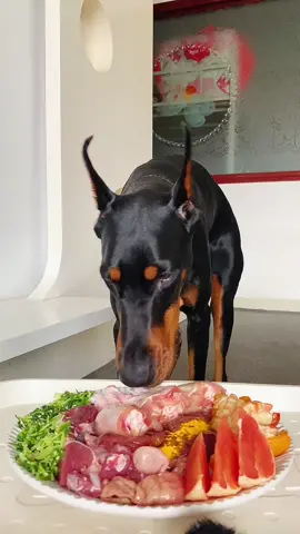 dog eat super cute  #dog #dogeat #mukbang #eat #tiktok 