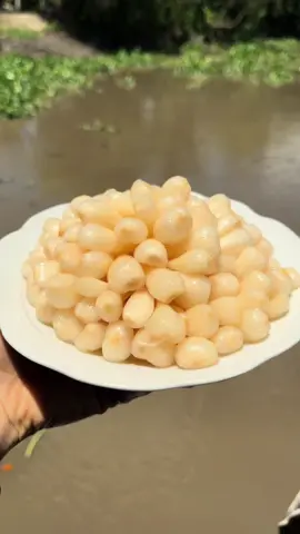 Củ kiệu đây ạ , chị nào có thịt kho mình hùng nhau ăn nha hi #Ranhthi87 #ăncungtiktok # Rảnhthi