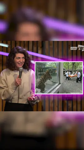 Till wird zum Tiger! #filiztasdan #tillreiners#moritzneumeier #comedy #falschaberlustig #standupcomedy #impro #tiger #internet #memestiktok