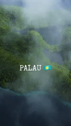 Palau 🇵🇼 ~ A dream destination.  #Palau #VisitPalau #Paradise #Ocean #CoralReef #Travel #Islands #Micronesia 