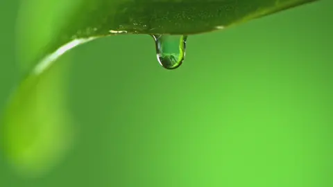 VIETNAM - My Home coming soon