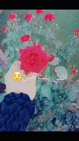 :عز الأهل ببين ع وجهك وبتفكيرك العز مابينحكى حكي 😌😌😌🫅♥♥♥♥