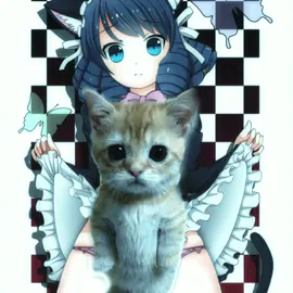 #Stopmotion #CapCut #anime #neko 