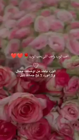 #حماقي #CapCut🌹❣️احب_الورد_واحب #احب_الورد_واحب #اكسبلووووورررر #مملكه_الاردنيه_الهاشميه🇯🇴 #تصميم_فيديوهات🎶🎤🎬 #CapCut 