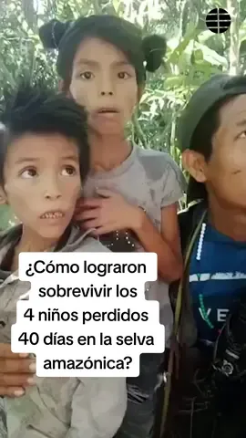 40 días perdidos en la selva, 40 días de hambre, frío y mucho miedo. 40 días y un final feliz. Te contamos las claves del caso de los niños perdidos en la Amazonía, una historia que ha conmocionado al mundo #noticiastiktok #niños #colombia #amazonas #rescate 