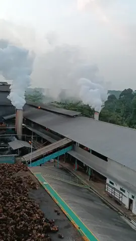 Part 3 Nih😁😂 Kira-Kira Brpa Ton Ya Sebanyak Ini? #fypシ゚viral #fypシ #fypdongggggggg #palmoilmill #storypabrik #pabrik #sawitontiktok #sawitsumatra #tandanberduri #pabriksawit #canter #cantermaniaindonesia #hino #loader #driver #drivermuda #operatormudapunyacerita 