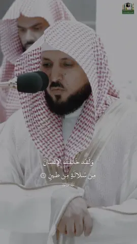 ﴿…فَتَبارَكَ اللَّهُ أَحسَنُ الخالِقينَ﴾ [المؤمنون: ١٤] #quran #ماهر_المعيقلي #fyp #foryou #ثواني_من_الخشوع 