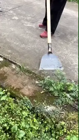 Transforme a manutenção do seu jardim em uma tarefa rápida, fácil e eficiente com a Pá de Limpeza de Jardim Multifuncional! Essa ferramenta revolucionária combina funcionalidade e versatilidade em um único instrumento, proporcionando resultados impressionantes e economizando seu precioso tempo. LINK PROMOCIONAL AQUI NA BIO. IMPORTANTE: Qualquer dúvida nos chame em nosso WhatsApp (19) 993568470