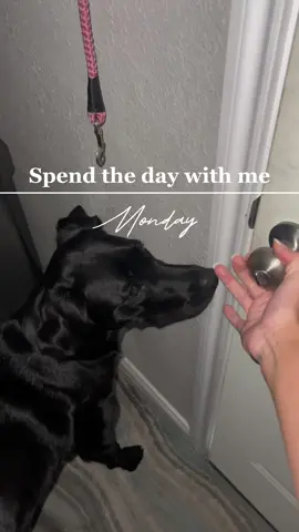 Spend the day with me! I am absolutely exausted 😪 #spendthedaywithme #comewithme #monday #dailyvlog #DailyRoutine #dailylife #dayinmylife #dayinthelife #dayinmylifevlog #dayinthelifevlog #dayinlife #Vlog #vlogger #ditl #ditlvlog #dailymotivation #mondaymotivation #mondaymood #mondayvibes #goodmorning #routine #workfromhome #workfromhomejobs #workfromhomelife #wfhlife #wfh #spendthemorningwithme #CleanTok #cleaning #cleaningtiktok #cleanhome #cleanhouse #dogmom #linewife #mydailylife #mydailyroutine #goodmorning #motivation #Summer #wife 