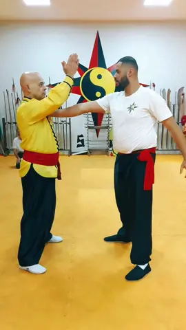 #tskf #kungfu #Kungfuadistancia #kungfuonline #wushu #louvaadeus #artemarcial #artesmarciais #shaolin #chikung #camisadeferro #palmadeferro