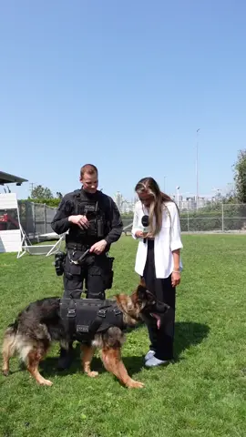 It was an honour going behind the scenes with the @The Vancouver Police K-9 Unit! It was Jade’s first day back on the job and she clearly missed it. As a huge animal lover, I was on cloud nine, I admire the work these dogs and officers do every day to keep Vancouver safe   #vancouver #vancouversnewsreporter #Streetinterview #vpd #k9unit #fyp 