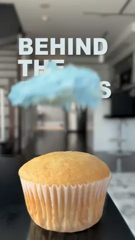 Replying to @hottibiscotti.com BEHIND THE SCENES!! 🧁 Here is what’s hiding behind the curtain (metaphorically#) Edited with adobe after effects