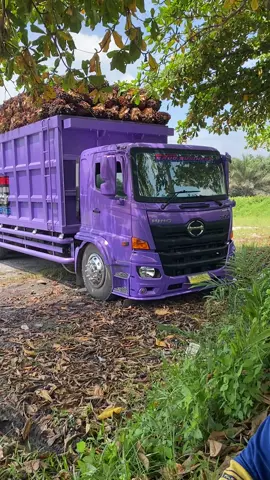 🥰🥰🥰 #fyp #gaslagee💃 #aktorsawit #sultankandis #hino500 #tiktokhits #hinoganteng #kulisawit #trucksultan #drivermuda #truckviral 
