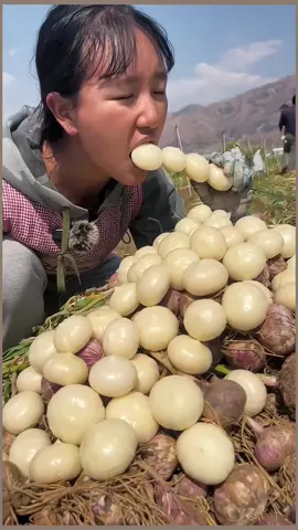 Single-headed garlic