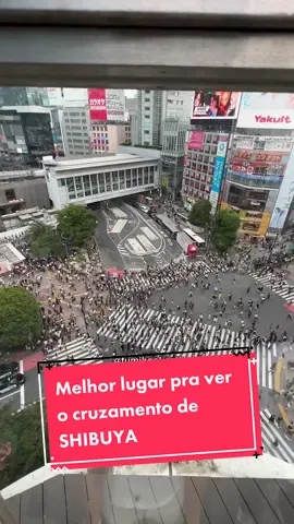 Segue a gente no 1nsta @fumikoekenji 🤩 3 motivos pra ser o MELHOR lugar ⬇️ ✨A vista do cruzamento é muito boa; ✨NÃO é um lugar lotado de gente; ✨O valor da entrada é barato e você ainda ganha uma bebida 🥤 📍Localização:  MAGNET by SHIBUYA 109, Tokyo 🇯🇵 ⏰ Horário: das 10h às 21h  🎟️ Entrada: Taxa de consumação: ¥550 sucos 🥤 ou ¥880 para refrigerantes ou bebida alcoólica 🍻 ✨Segue a gente pra mais dicas @fumikoekenji  . . #dicasdeviagem #brasileirospelomundo #brasileirosnojapao #brasileirosemaichi #morandonojapao #vidanojapao #shibuyacrossing #tokyo 