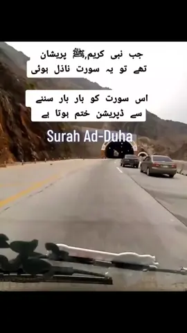 #duet with @Mudassir Iqbal🇵🇰 🐋 